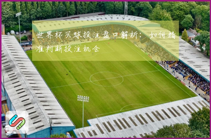 世界杯买球投注盘口解析：如何精准判断投注机会