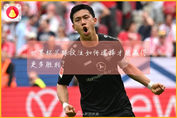 世界杯买球投注如何选择才能赢得更多胜利？
