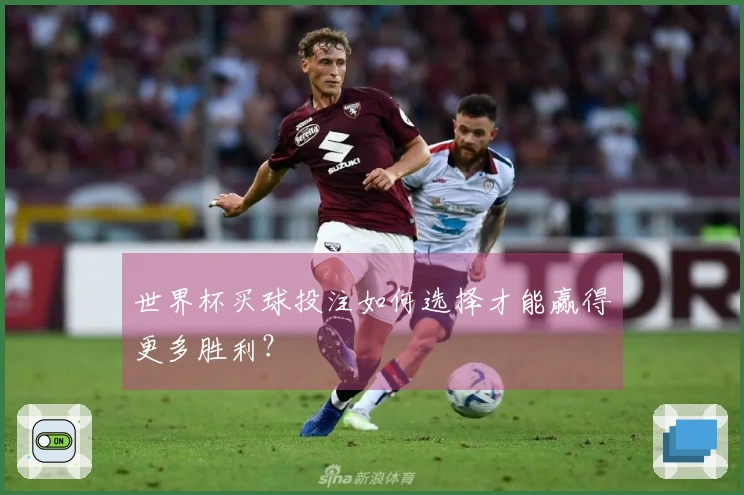 世界杯买球投注如何选择才能赢得更多胜利？