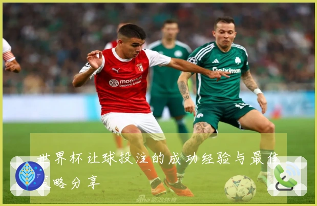 世界杯让球投注的成功经验与最佳策略分享