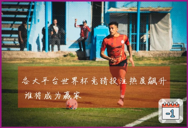 各大平台世界杯竞猜投注热度飙升 谁将成为赢家