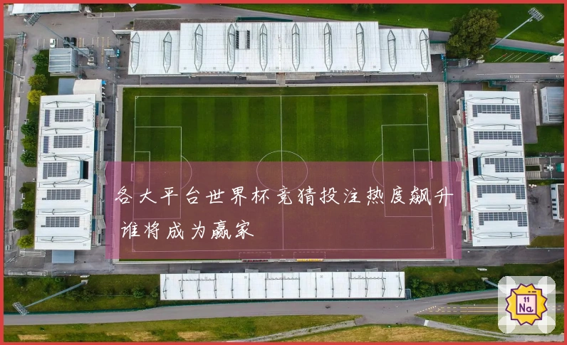 各大平台世界杯竞猜投注热度飙升 谁将成为赢家