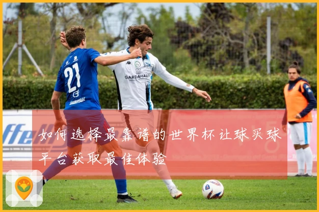 如何选择最靠谱的世界杯让球买球平台获取最佳体验