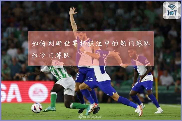 如何判断世界杯投注中的热门球队和冷门球队
