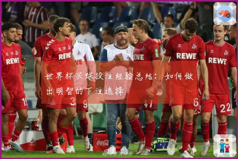 世界杯买球投注经验总结：如何做出明智的下注选择